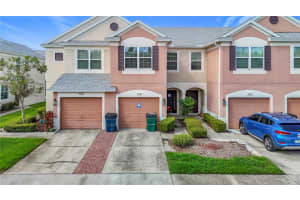 26548 Castleview Way, WESLEY CHAPEL