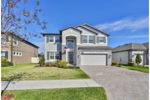 19293 Breynia Dr, LUTZ