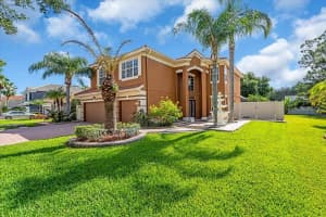 12835 DARBY RIDGE DRIVE, TAMPA, FL 33624 - MLS#MFRA4657557