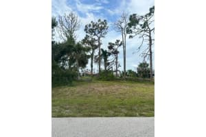 23 MEDALIST CIRCLE, ROTONDA WEST, FL 33947 - MLS#MFRA4657682