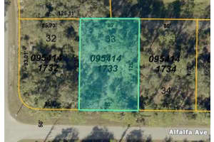 ALFALFA AVE, NORTH PORT, FL 34291 Sold 12/02/25