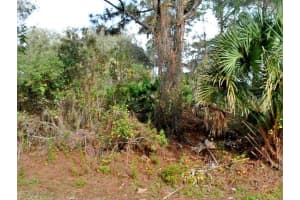 ALFALFA AVE, NORTH PORT, FL 34291 Sold 12/02/25