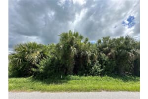 LOT 10 CATHEDALL AVE, NORTH PORT, FL 34288 - MLS#MFRA4657976