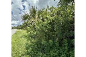 LOT 10 CATHEDALL AVE, NORTH PORT, FL 34288 - MLS#MFRA4657976