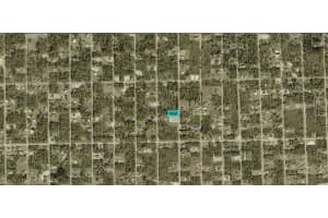 1011 PLUMOSA AVENUE, LEHIGH ACRES, FL 33972 Sold 09/08/25