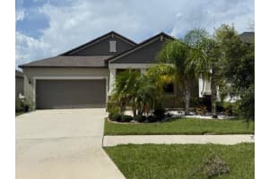 11821 SUNBURST MARBLE ROAD, RIVERVIEW, FL 33579 - MLS#MFRA4658257