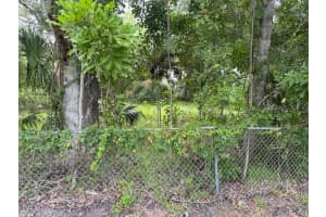 BRAZILNUT AVE, SARASOTA, FL 34234 Sold 09/12/25