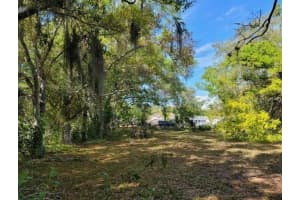BRAZILNUT AVE, SARASOTA, FL 34234 Sold 09/12/25