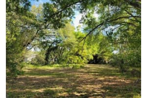 BRAZILNUT AVE, SARASOTA, FL 34234 Sold 09/12/25