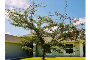 27471 DEEP CREEK BOULEVARD, PUNTA GORDA, FL 33983 Sold 08/25/25