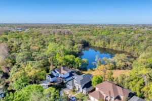 10818 TRADITION LOOP, TAMPA, FL 33618 - MLS#MFRA4658673
