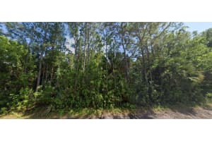 23125 HAMMOND AVENUE, PORT CHARLOTTE, FL 33954 Sold 02/05/26