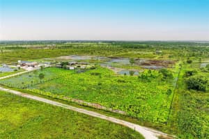 49355 BERMONT ROAD, PUNTA GORDA, FL 33982 - MLS#MFRA4659104