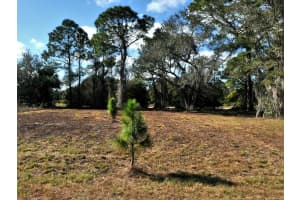 LONGFELLOW LN, NORTH PORT, FL 34288 - MLS#MFRA4659194