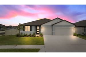 14006 Ginnie Springs Way, PARRISH