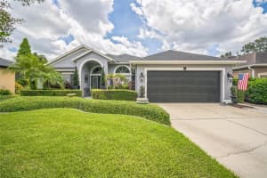 15105 Tealrise Way, LITHIA