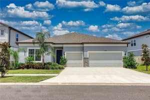 13082 Willow Grove Dr, RIVERVIEW