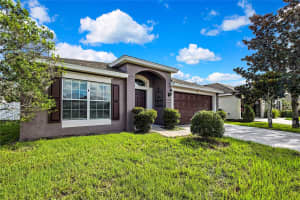 333 ALPINE THISTLE DRIVE, BROOKSVILLE, FL 34604 - MLS#MFRA4659270