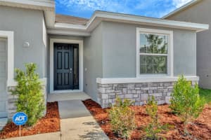 1505 TROPICAL OASIS AVENUE, PLANT CITY, FL 33565 - MLS#MFRA4659384