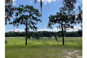 5031 LISK LANE, LAKE WALES, FL 33859 - MLS#MFRA4659452