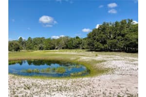 5031 LISK LANE, LAKE WALES, FL 33859 - MLS#MFRA4659452