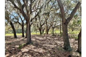5031 LISK LANE, LAKE WALES, FL 33859 - MLS#MFRA4659452