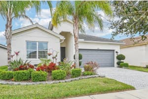 15442 SANTA POLA DRIVE, WIMAUMA, FL 33598 - MLS#MFRA4659568