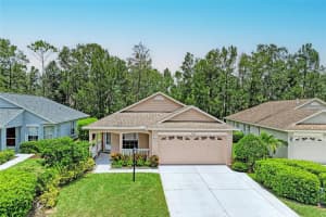 12337 Wood Sage Ter, LAKEWOOD RANCH