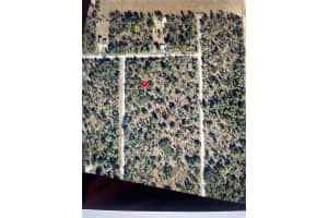 0000 WILLOW ROAD, DUNNELLON, FL 34431 - MLS#MFRA4659656