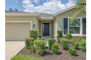 15309 TRINITY FALL WAY, BRADENTON, FL 34212 - MLS#MFRA4659670