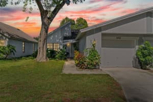 4401 Ridgeline Cir, TAMPA