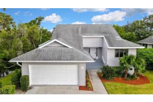 1036 LAKE AVOCA DRIVE, TARPON SPRINGS, FL 34689 - MLS#MFRA4659734