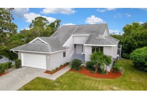 1036 LAKE AVOCA DRIVE, TARPON SPRINGS, FL 34689 - MLS#MFRA4659734