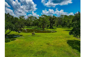 15210 WATERLINE ROAD, BRADENTON, FL 34212 - MLS#MFRA4659959