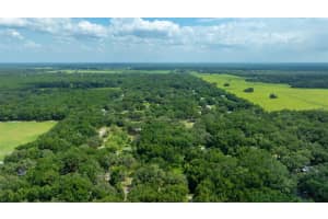 0 141ST TRACT 69 PLACE, DUNNELLON, FL 34432 - MLS#MFRA4659982