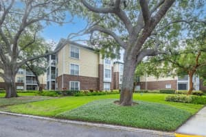 10020 Strafford Oak Ct #921, TAMPA
