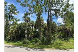 NADELL RD, NORTH PORT, FL 34288 - MLS#MFRA4660667