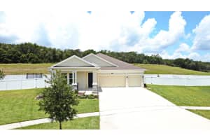 6006 CLAYSTONE WAY, MOUNT DORA, FL 32757 - MLS#MFRA4660704