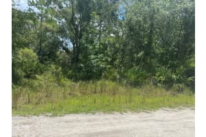 LISLE AVE, NEW PORT RICHEY, FL 34654 Sold 10/03/25