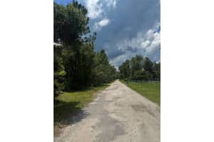 LISLE AVE, NEW PORT RICHEY, FL 34654 Sold 10/03/25