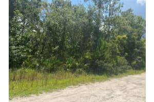 LISLE AVE, NEW PORT RICHEY, FL 34654 Sold 10/03/25