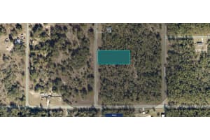1811-016-025 LITTLE CLIFFS DRIVE, DUNNELLON, FL 34431 - MLS#MFRA4660747