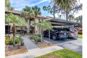 345 THREE LAKES LANE, VENICE, FL 34285 - MLS#MFRA4660812