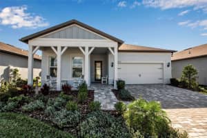 8541 Coastal Palms Gln, PARRISH
