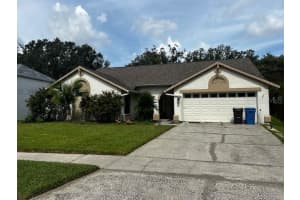 18330 Cypress View Way, TAMPA