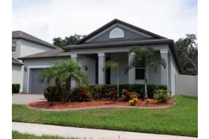 11451 Freshwater Ridge Dr, RIVERVIEW