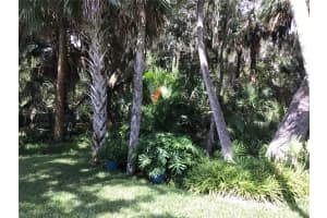 E CORY DR, EDGEWATER, FL 32141 - MLS#MFRA4661130