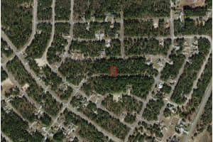 899 BANNISTER DRIVE, CITRUS SPRINGS, FL 34434 Sold 10/13/25