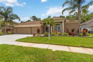 5042 SILVER CHARM TERRACE, WESLEY CHAPEL, FL 33544 - MLS#MFRA4661411