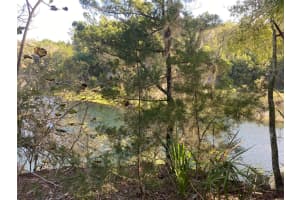 314 4TH AVENUE, WILLISTON, FL 32696 - MLS#MFRA4661569
